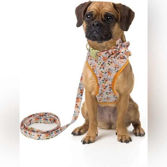 Beirui Cute Girl Dog Collars, Harnesses & Leashes Set - Size XS - Picture 6 of 10